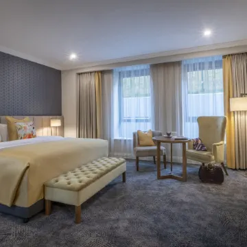 Castletroy Park Hotel Suites