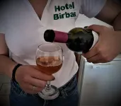 Birbas Hotel