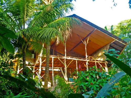 Cascada Verde Eco Lodge & Hostel - hostel