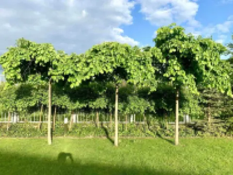 豪華別墅 - JessApart Walendia