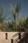 Ranch Motel - 2-Star