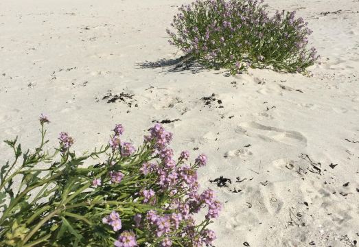 카바페이드 호텔 이미지