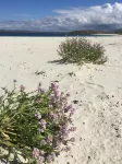 Uig Sands Rooms Hotels in Insel Lewis