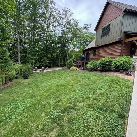 Bourbon Bear ~ A Luxury Cabin ~ Rustic, Charming & Cozy in the Heart of Townsend