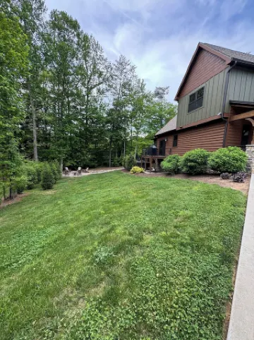 Bourbon Bear ~ A Luxury Cabin ~ Rustic, Charming & Cozy in the Heart of Townsend