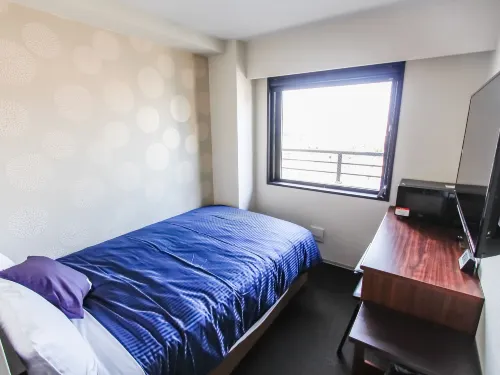 HOTEL LiVEMAX Kyoto Nijo-JO-Kita - Lemmikkieläimet sallittu