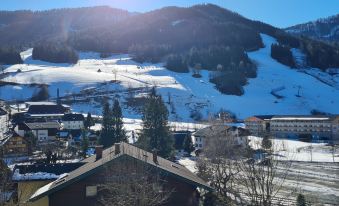 Comfortable Apartment With Mountain View
