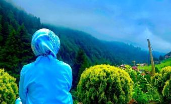 Ayder Vesile Otel