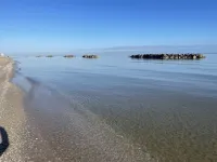 Palazzo Capparucci - Dimora Storica