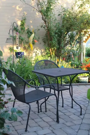 Spectacular skyline, river views from lovely yard. Bright and beautiful space.