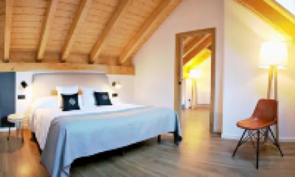 Hotel Lo Paller Hotels in Esterri dÀneu