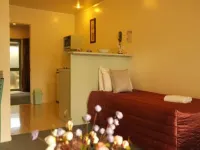 Birchwood Spa Motel - spa