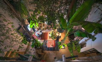 Riad Tibibt