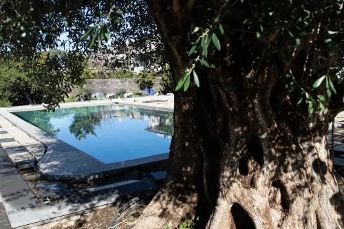 Villa Emanuel Hotels in Sant'Agnello