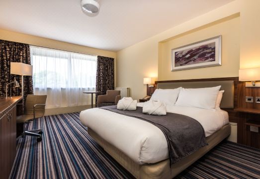 홀리데이 인 톤턴의 실내 수영장 이미지