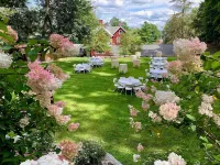Springside Inn - Wifi
