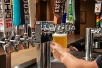 DoubleTree by Hilton San Francisco Airport - bar