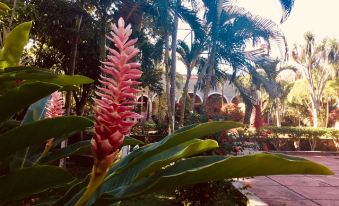 Hacienda Sacnicte