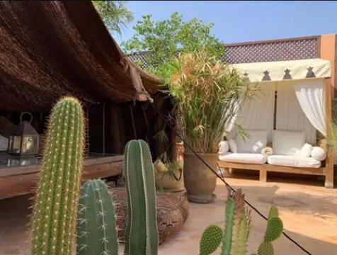 帕拉西奧代拉斯愛斯匹西亞斯摩洛哥傳統庭院住宅