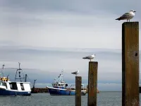Rocksalt Hotels in Folkestone