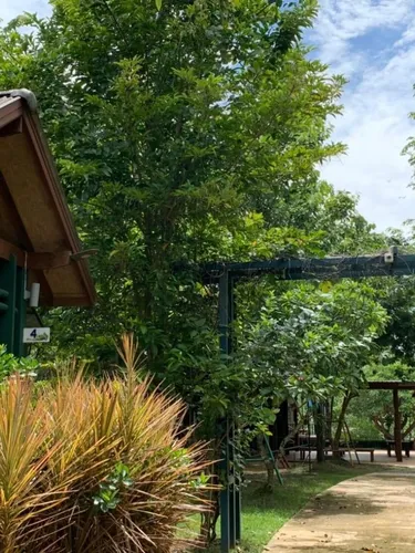 รูปภาพของหนึ่งในบางคนที