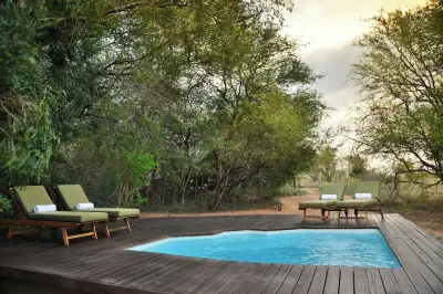 Rhino Walking Safaris Hotels in der Nähe von Skukuza Rest Camp