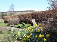 Shian Cottage B&B Hoteles en Dunkeld