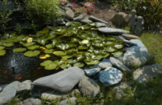Gardenview Bed and Breakfast