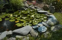 Gardenview Bed and Breakfast