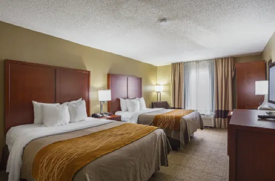 Comfort Inn University Area Отели рядом с достопримечательностью «Брекс Блубоннет Суомп Нейчер Сентер»