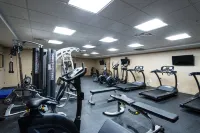 Western Star All Suites Signature Hotel - Gym