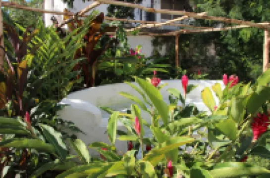 Hiliki House โรงแรมใน