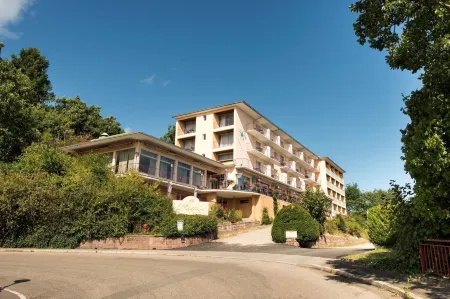 Alexain Hotel Restaurant & Wellness - Colmar Ouest Отели рядом с достопримечательностью «Church of St. Anne»