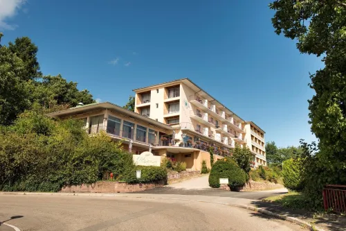 Alexain Hotel Restaurant & Wellness - Colmar Ouest Hotel a Turckheim