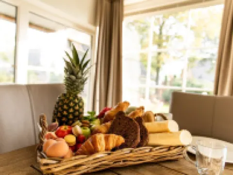 Hotel Hof Van Salland Hotels in Hellendoorn