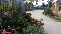 Shady Rest Motel Hotels in Gympie
