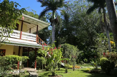 Playa Negra Guesthouse Hotels in 