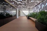 Essence Suites