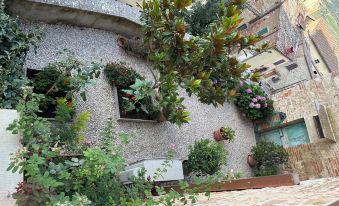 Il nido dell'upupa