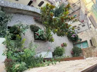 Il nido dell'upupa