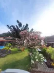 Seaview Beach Resort Hotels in San Jose