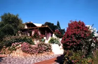 Hotel Don Diego Hotel in zona Spiaggia Pizzichina Corallina