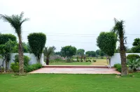 Palm Galaxy Hotel a Dharera