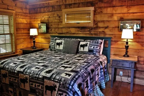 Serenity on Cedar-Lakefront Log Cabin, 10 Boats, Fire Table and Luxury Hot Tub