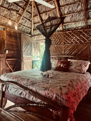 Tropical Samana