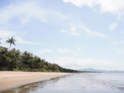 Daintree Beach Resort Hotels in Daintree