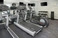 Fairfield Inn & Suites Reading Wyomissing - Gym
