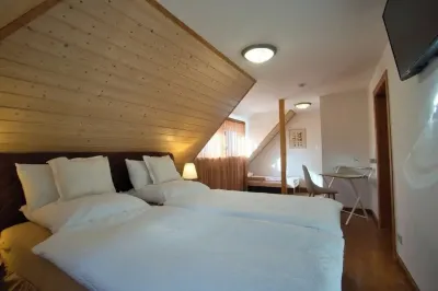 Sustainable, vegan-friendly accommodation at mining nature trail in Schneeberg Hotels near Naturschutzzentrum Erzgebirge gGmbH