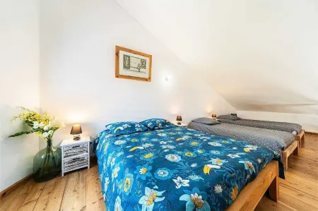 Jade vine location 2