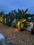 large property -open Floor plan, great location heated salt water pool